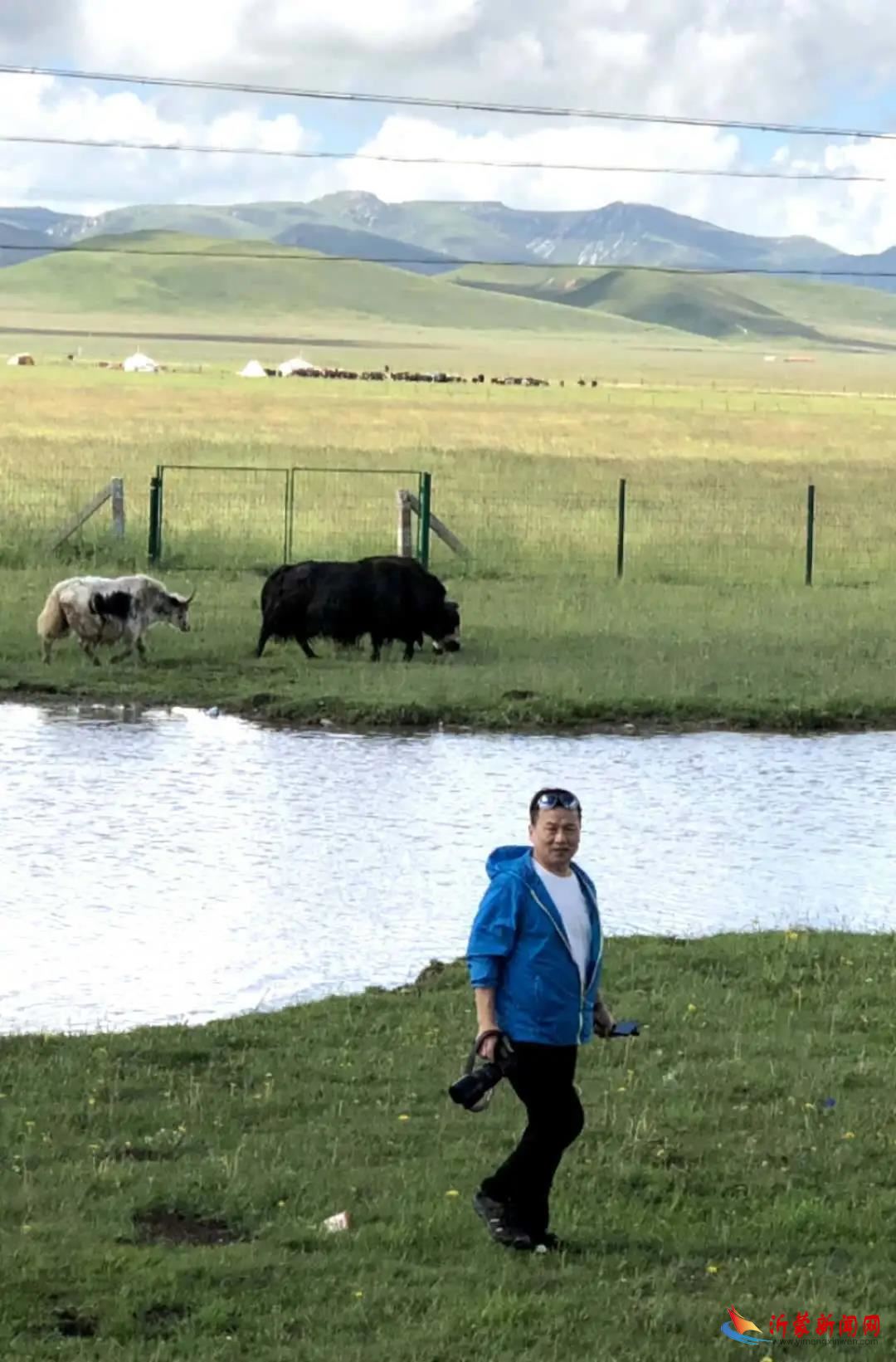 立足当代 回向传统---管窥泓青的绘画艺术 