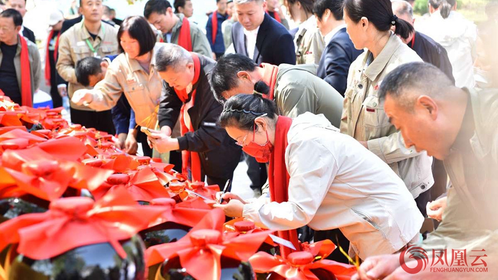 {KS:Field:Title} 第 15 张