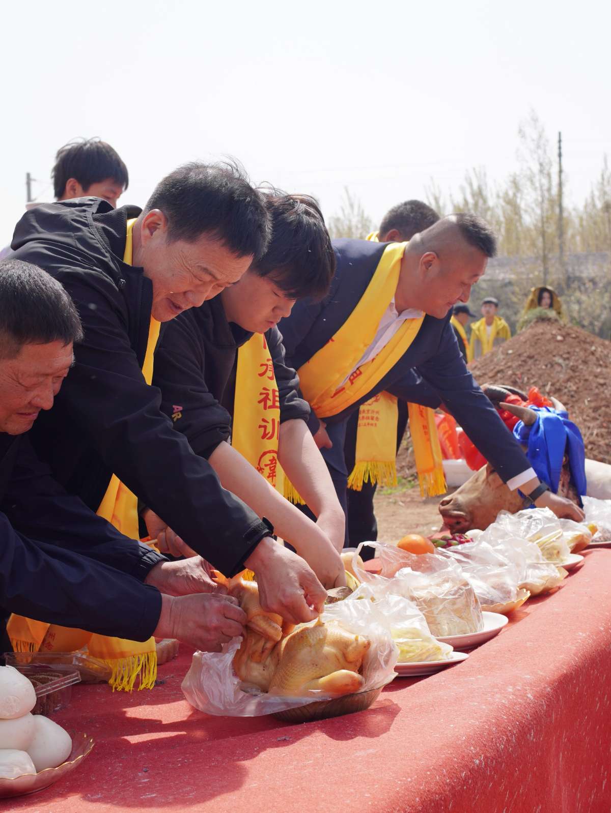 微信图片_20260407222243 (1).jpg