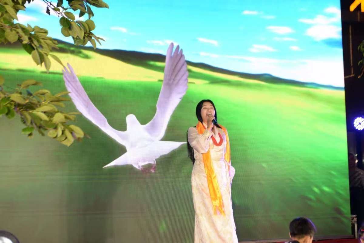 军中最美的格桑花 ——藏族军旅歌唱演员央宗卓玛 